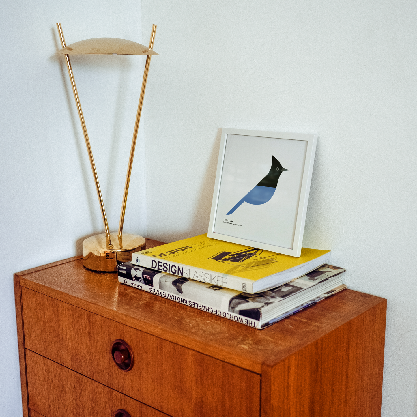 Steller's Jay Art Print