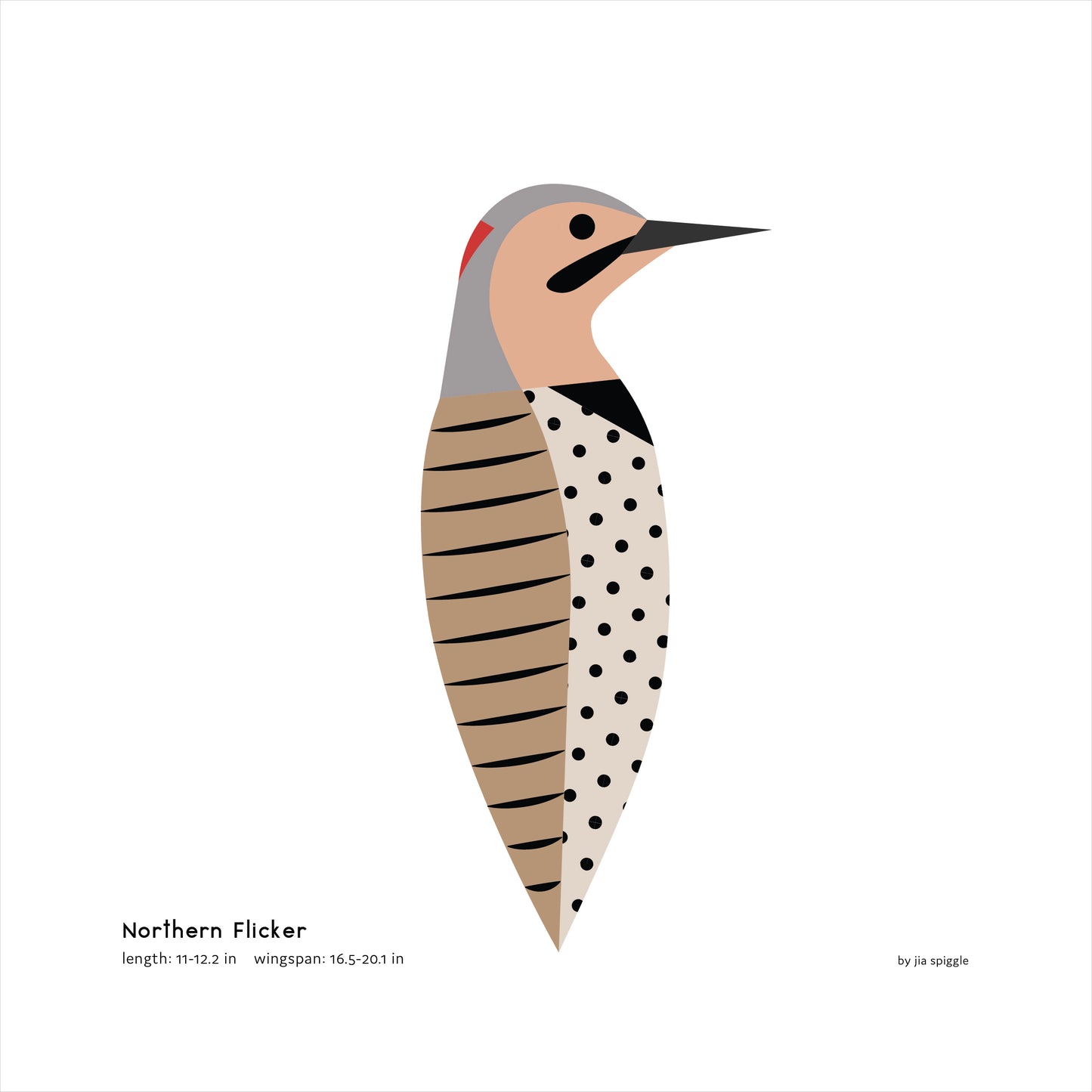 Northern Flicker Art Print