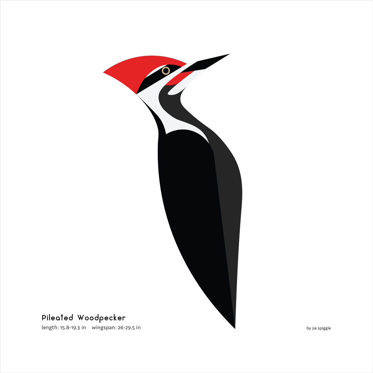 Pileated Woodpecker Art Print