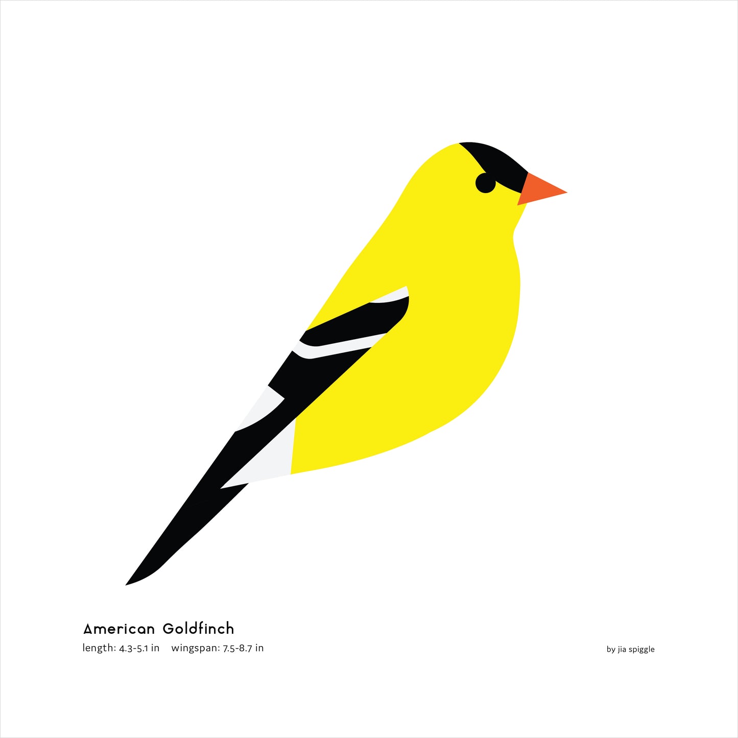 American Goldfinch Art Print