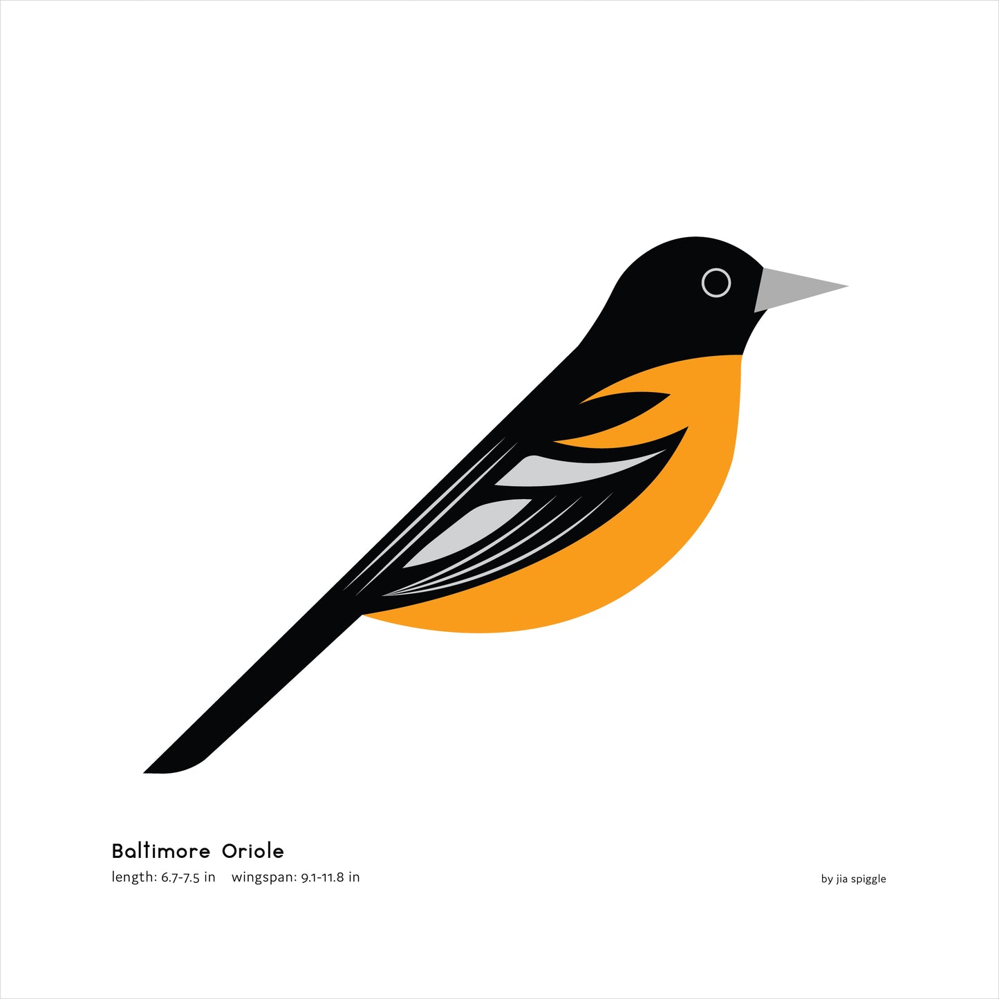 Baltimore Oriole Art Print