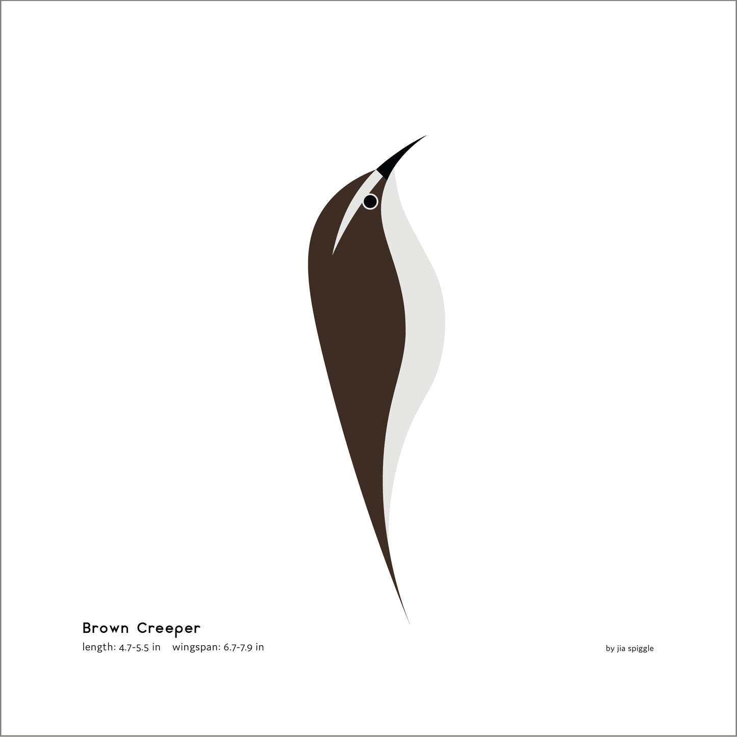 Brown Creeper Art Print
