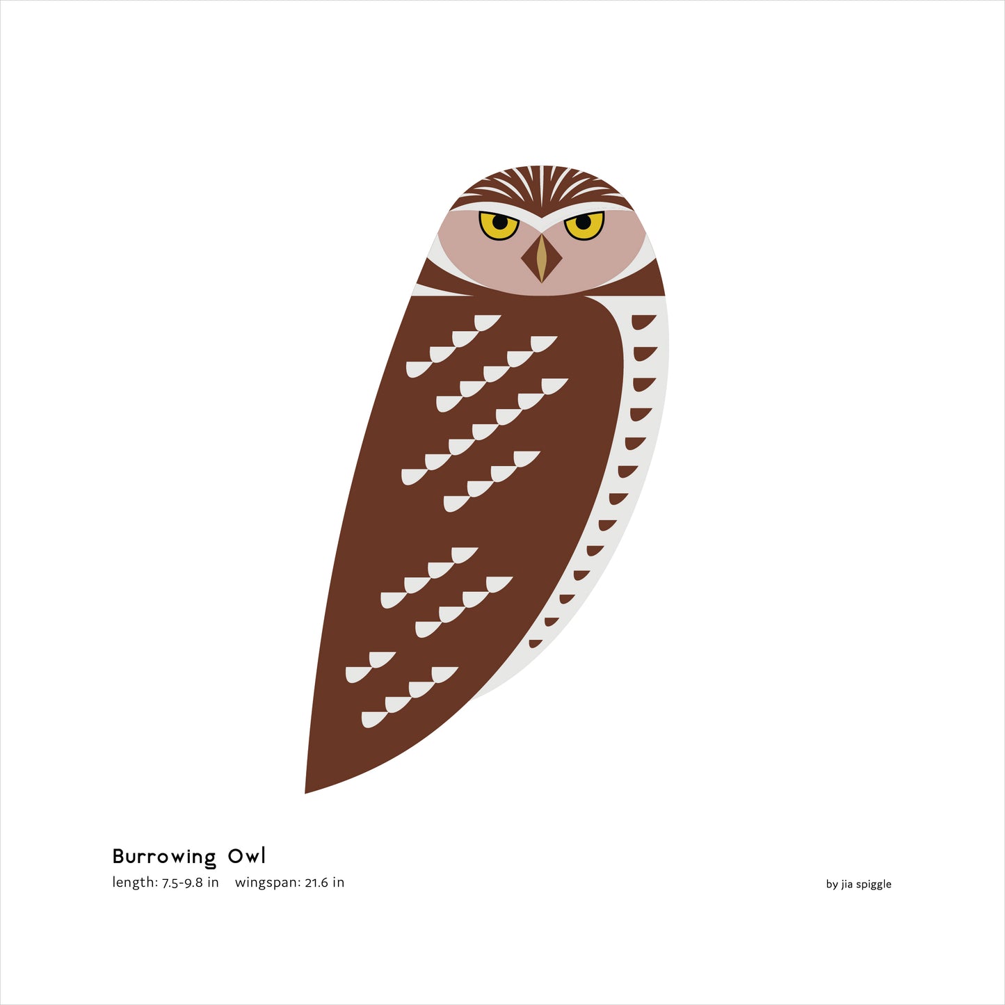 Burrowing Owl Art Print