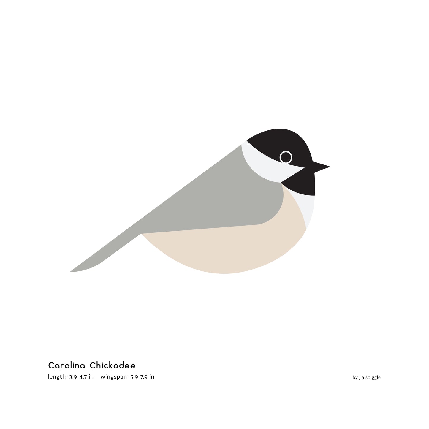 Carolina Chickadee Art Print
