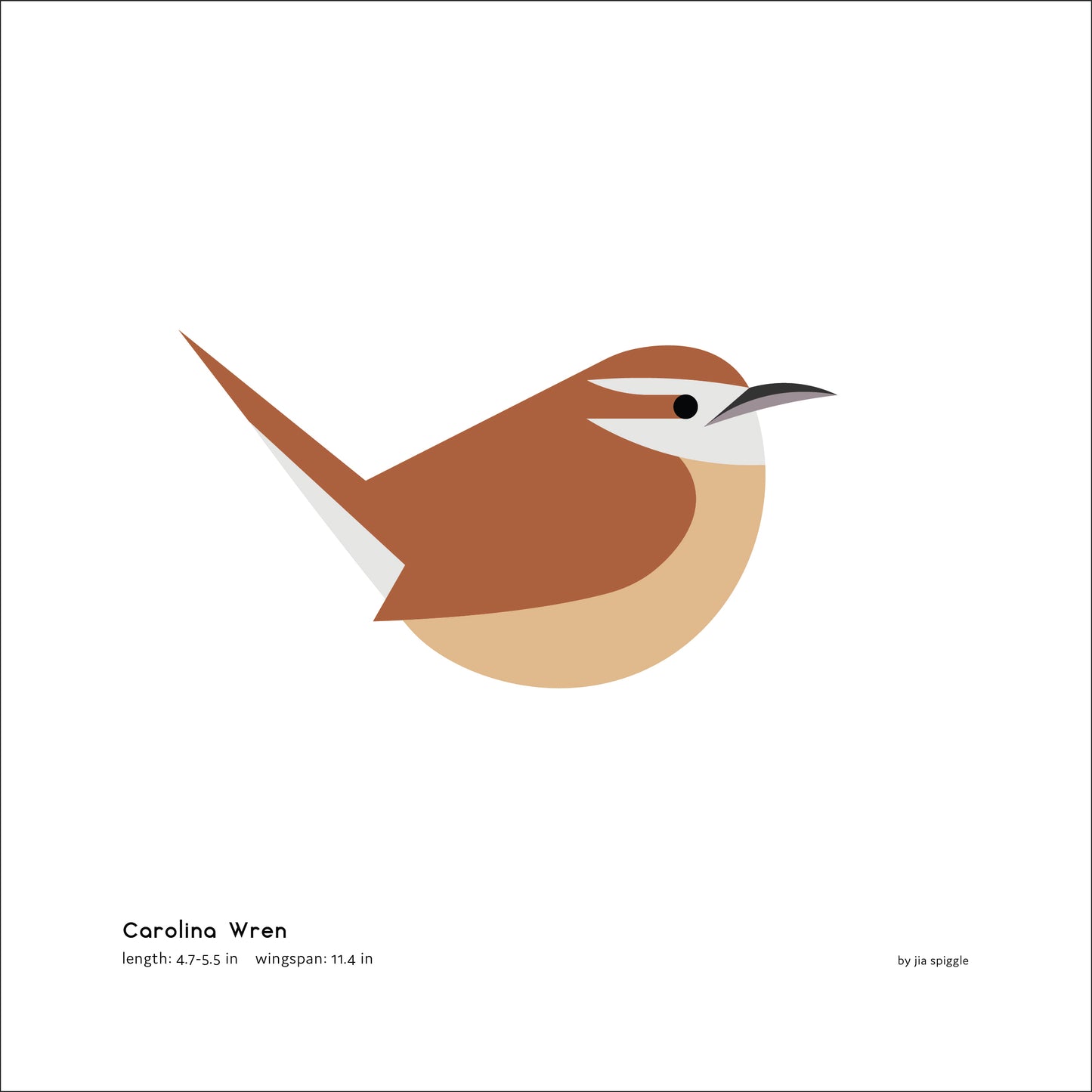 Carolina Wren Art Print