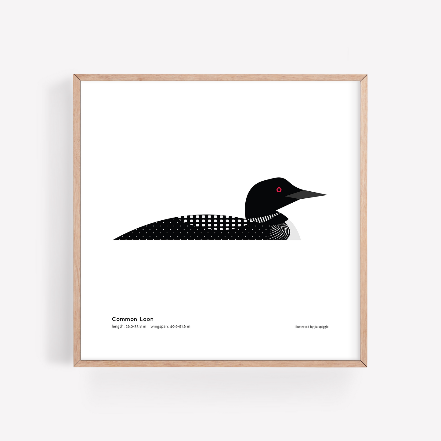 Common Loon Art Print
