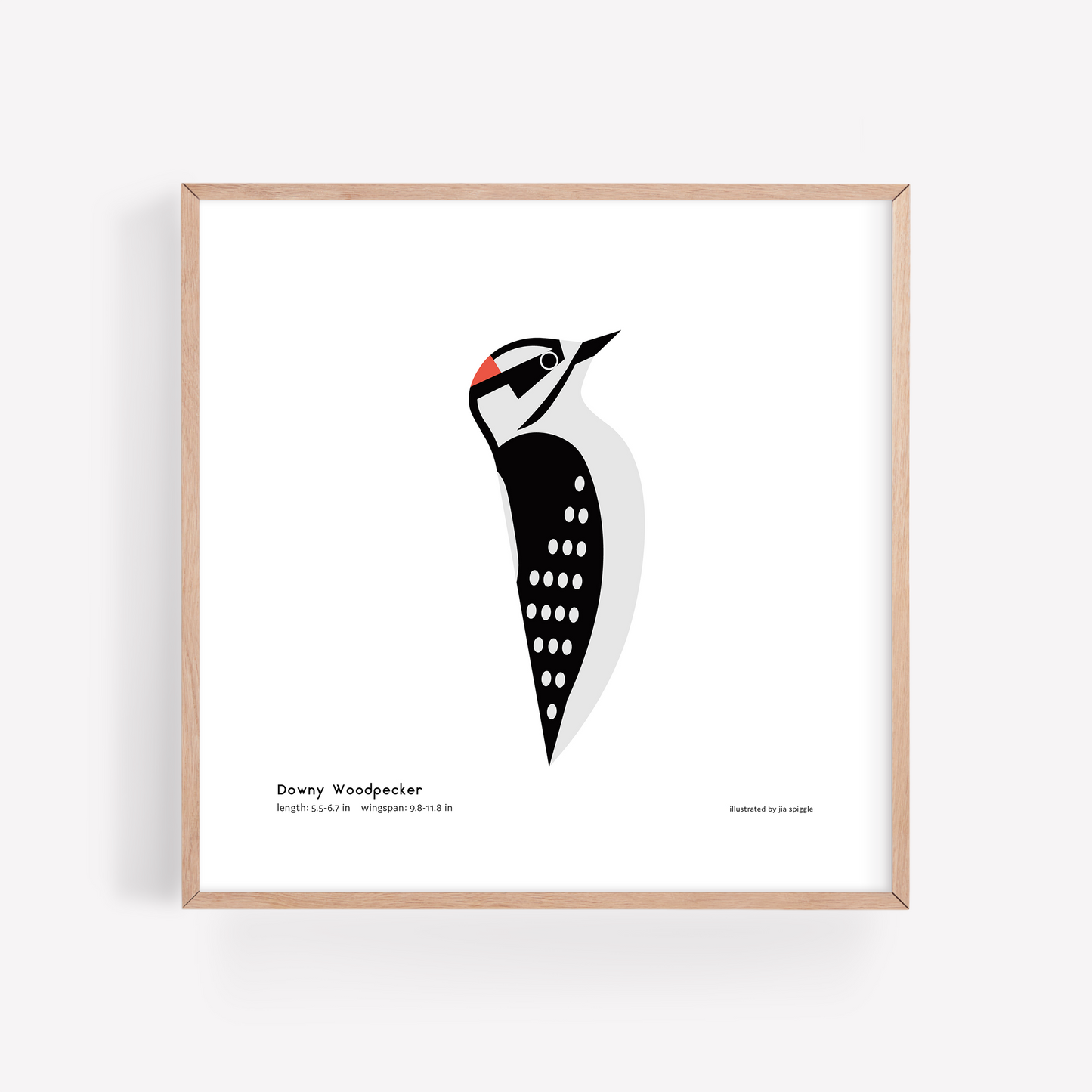 Downy Woodpecker Art Print