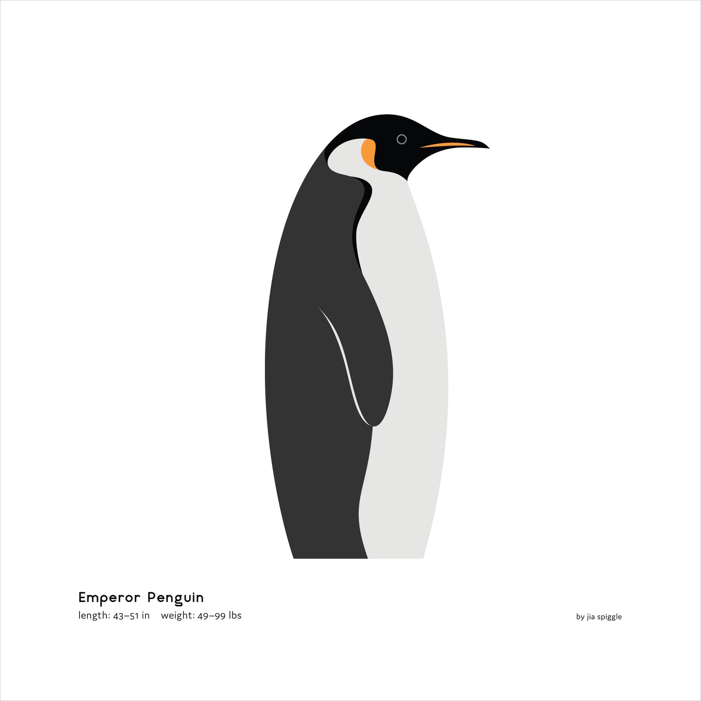 Emperor Penguin Art Print