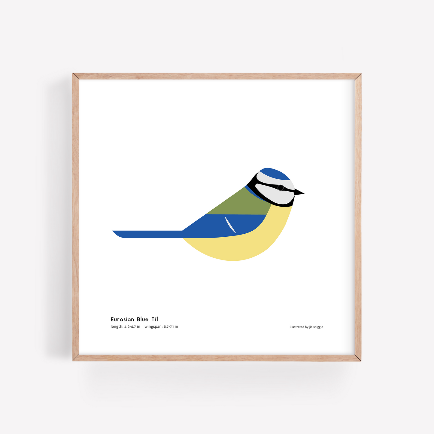 Eurasian Blue Tit Art Print