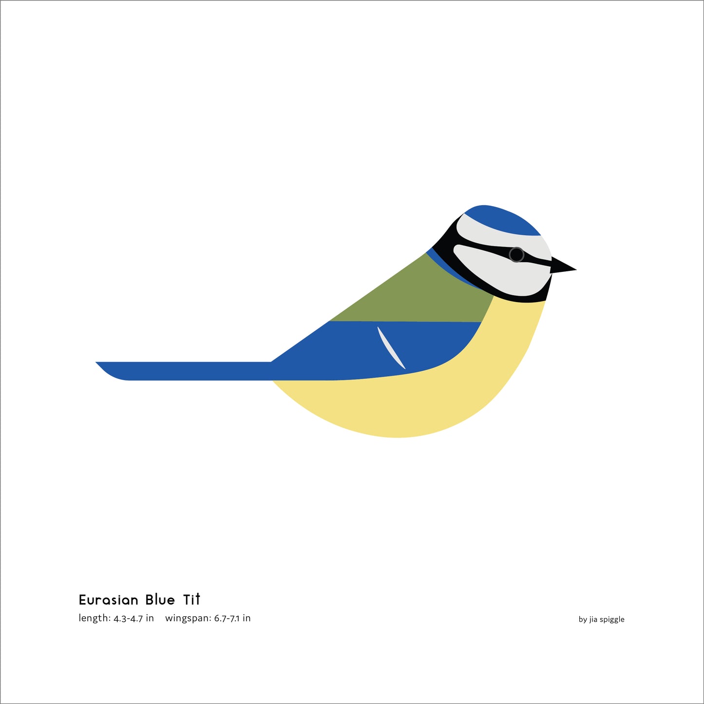 Eurasian Blue Tit Art Print