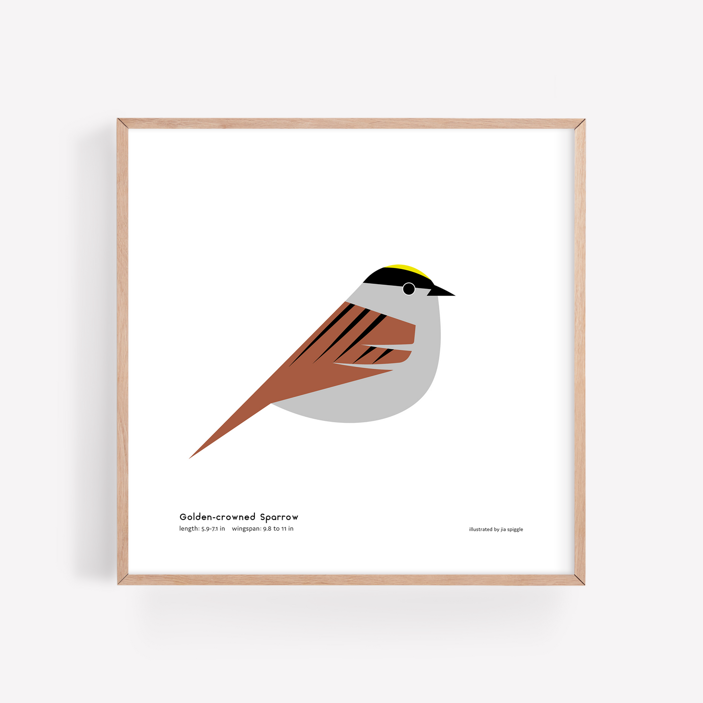 Golden-crowned Sparrow Art Print