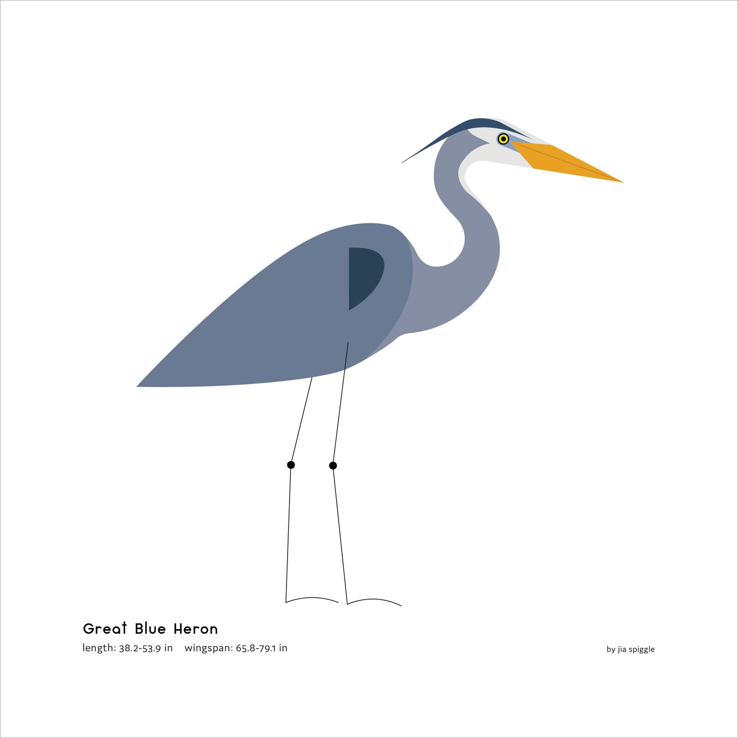 Great Blue Heron Art Print