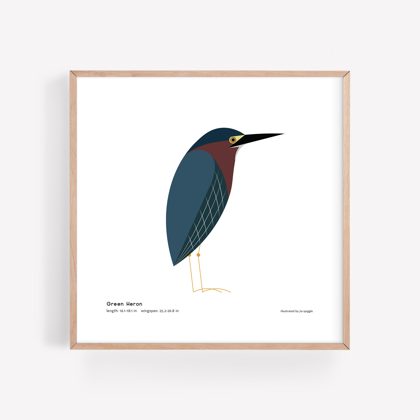 Green Heron Art Print