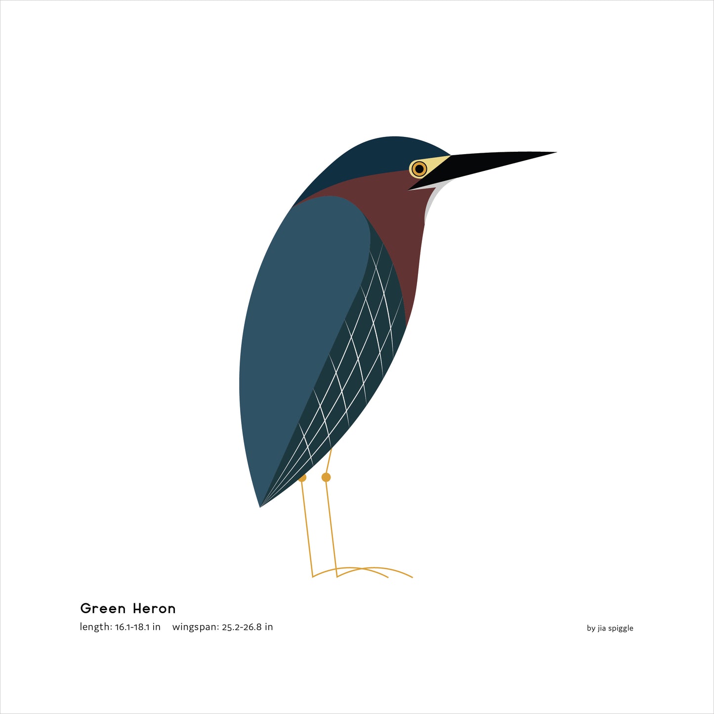 Green Heron Art Print