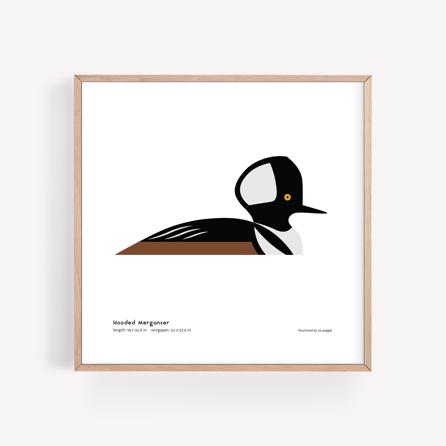 Hooded Merganser Art Print