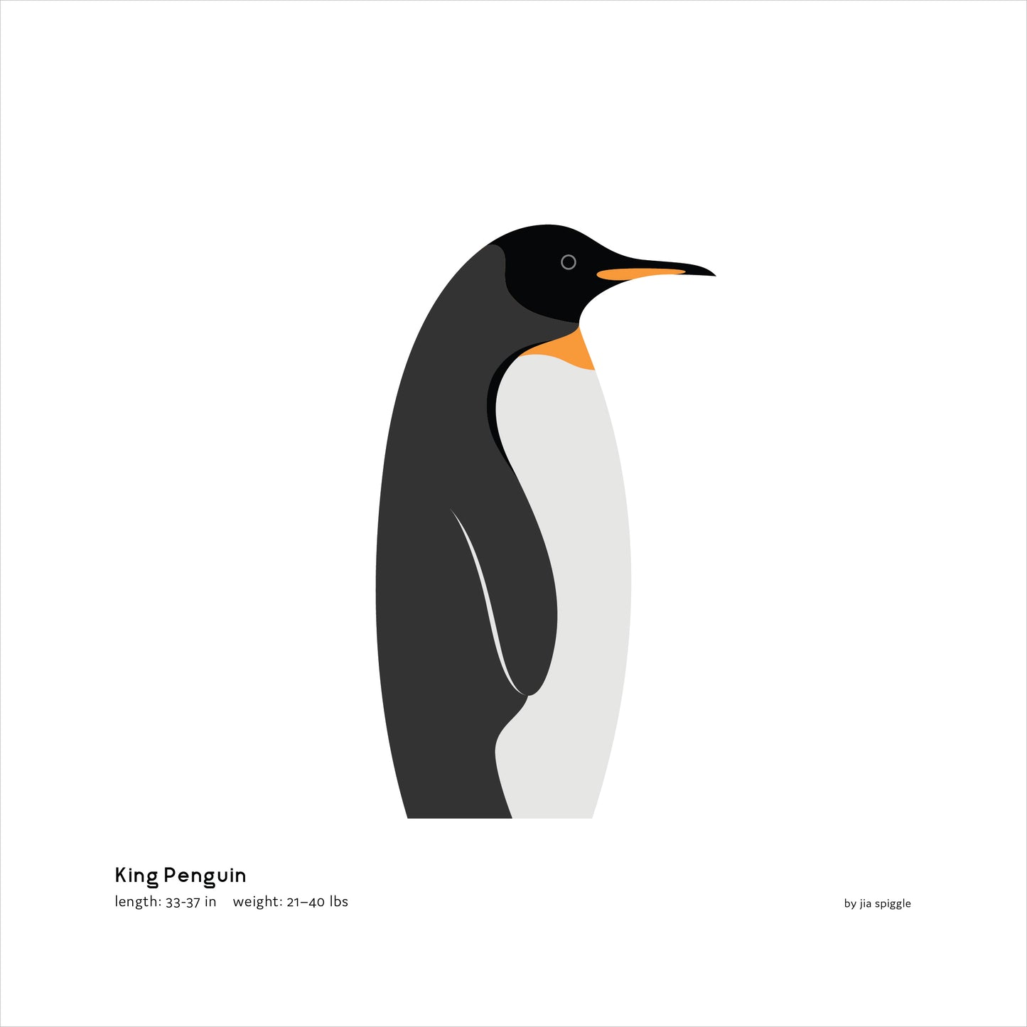 King Penguin Art Print