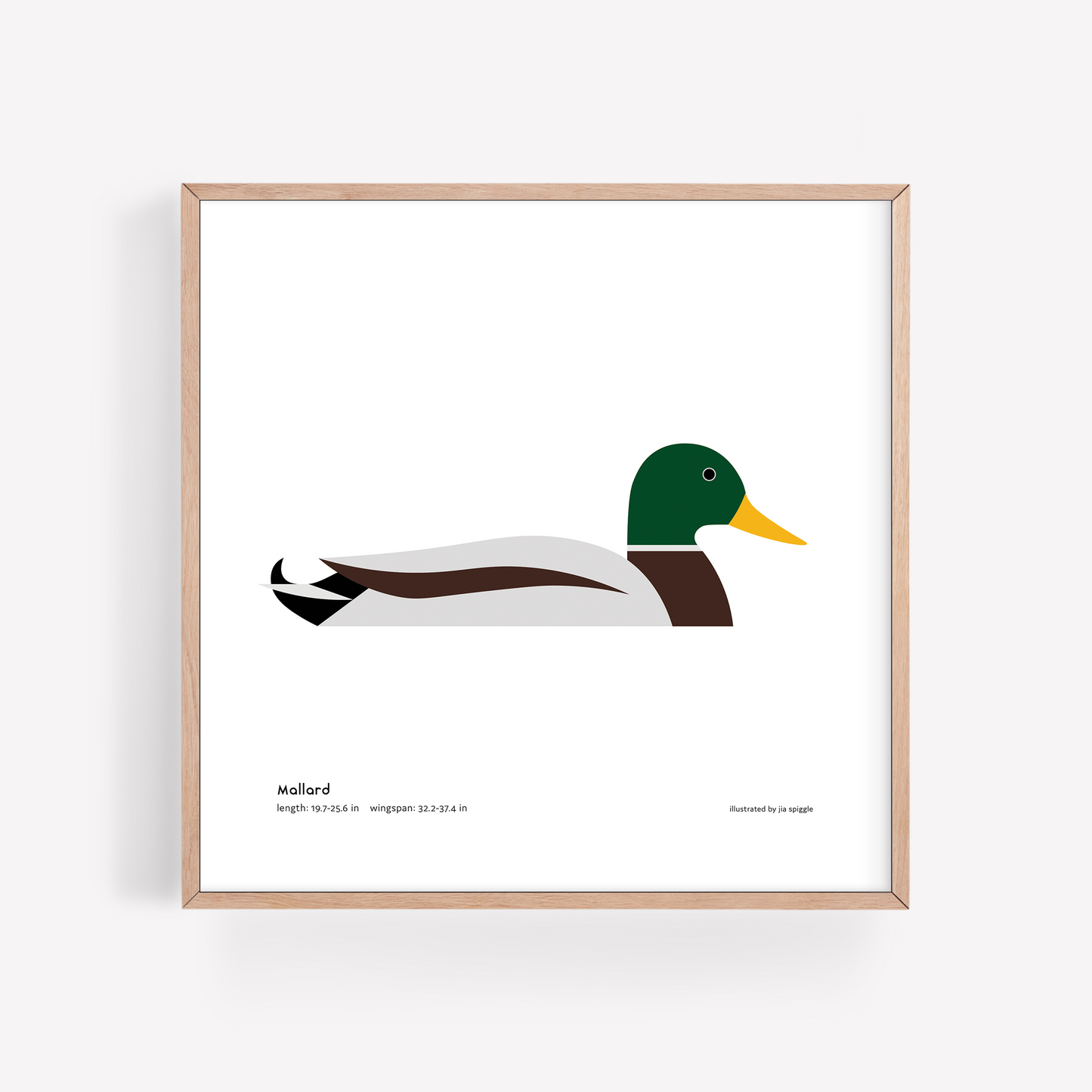 Mallard Art Print