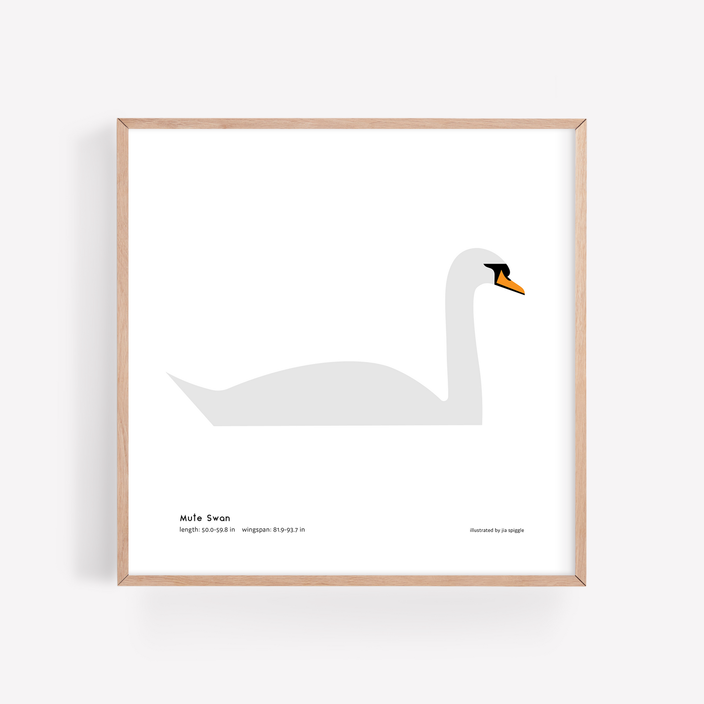 Mute Swan Art Print