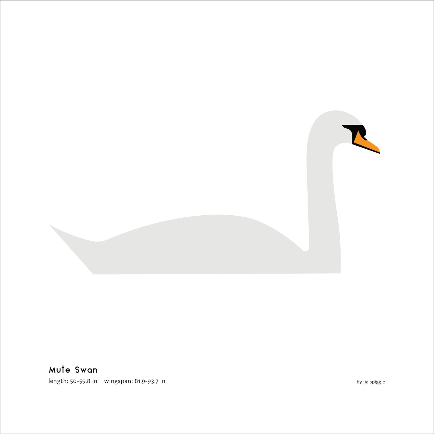 Mute Swan Art Print