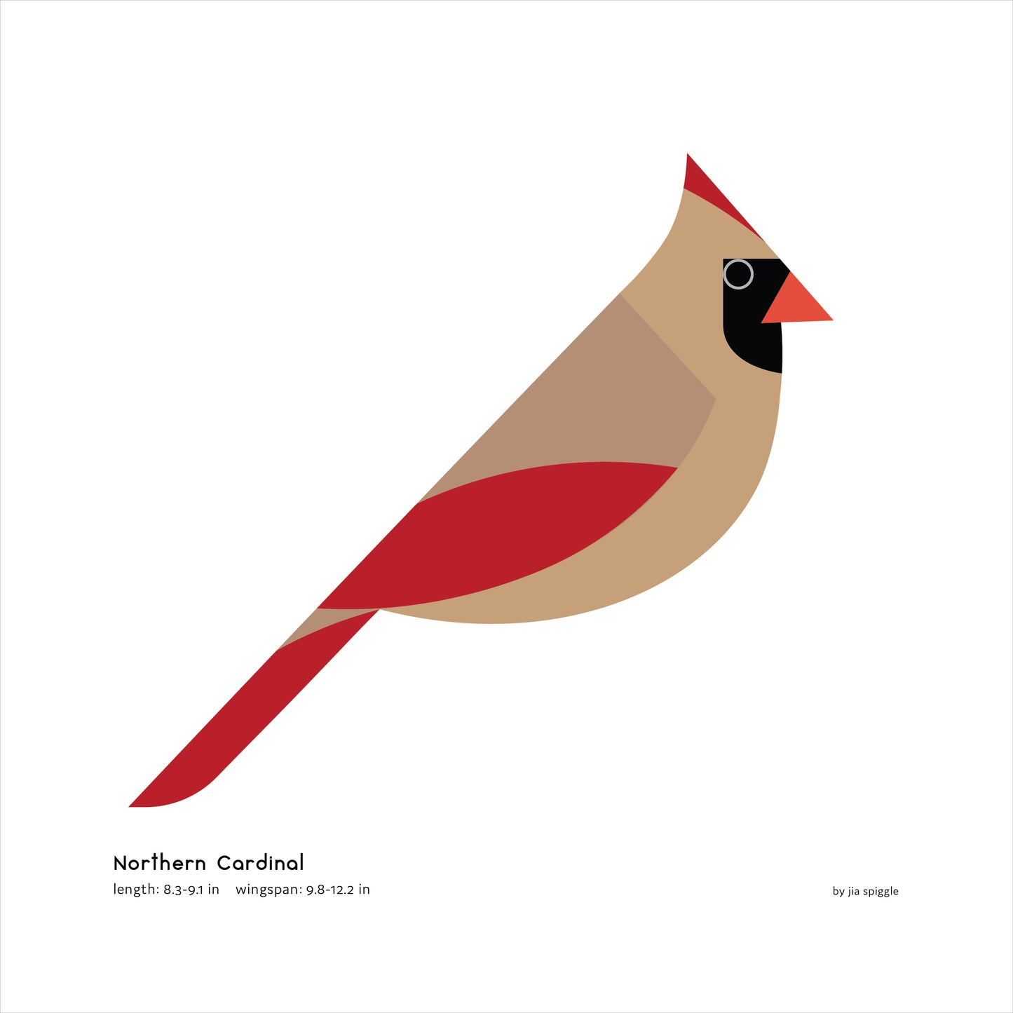 Northern Cardinal (Female) Art Print