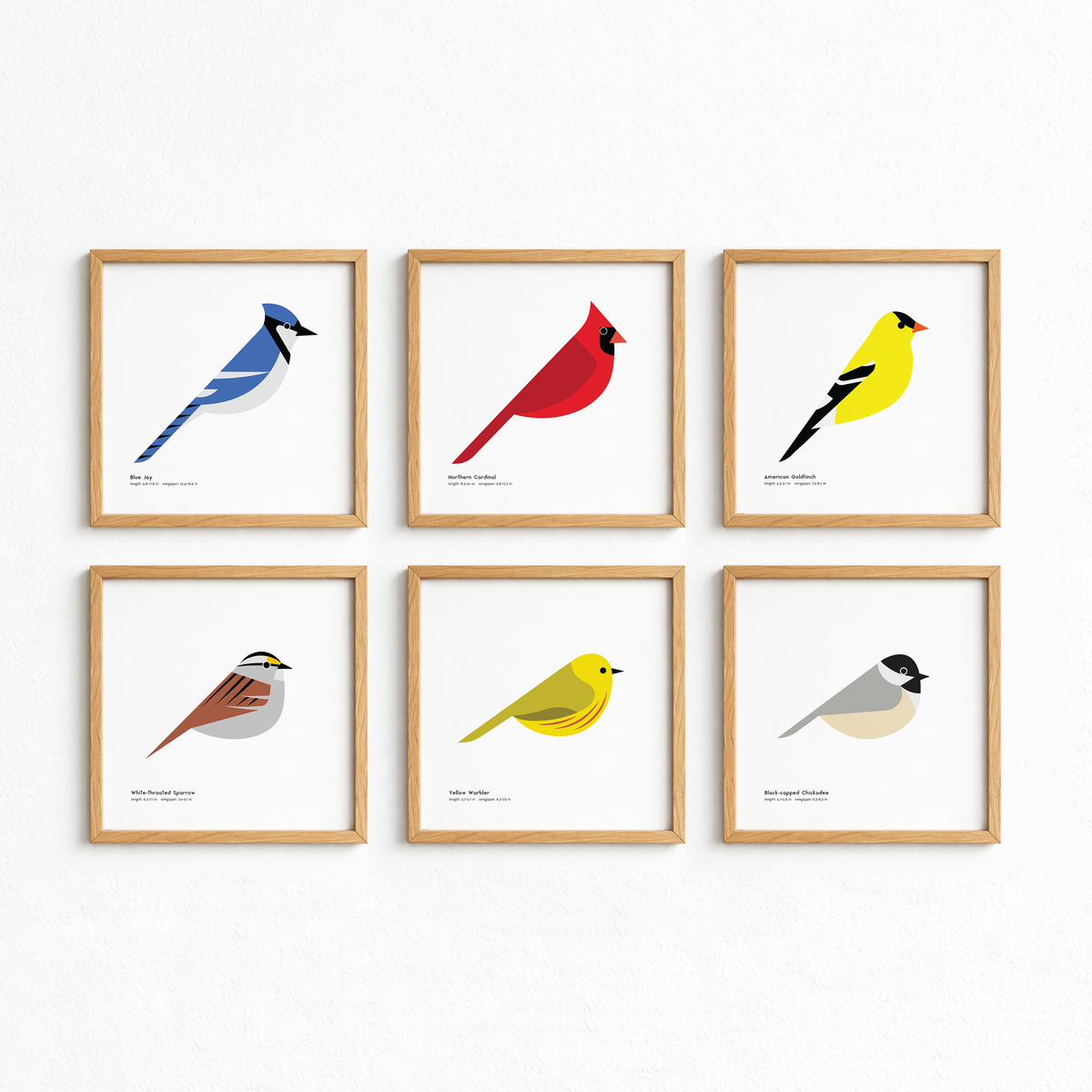 American Goldfinch Art Print