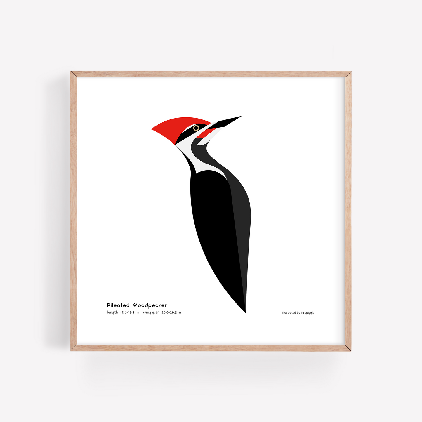 Pileated Woodpecker Art Print