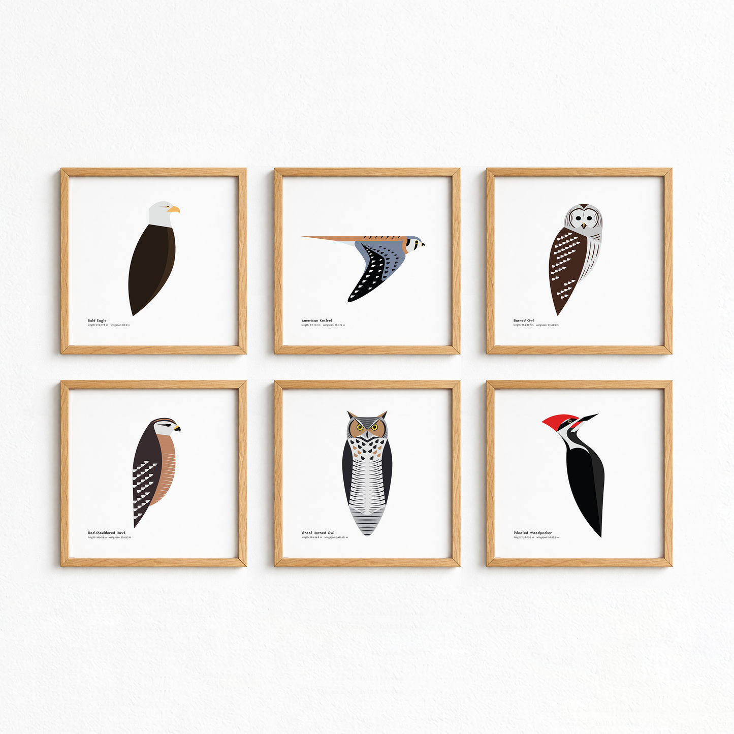 Pileated Woodpecker Art Print