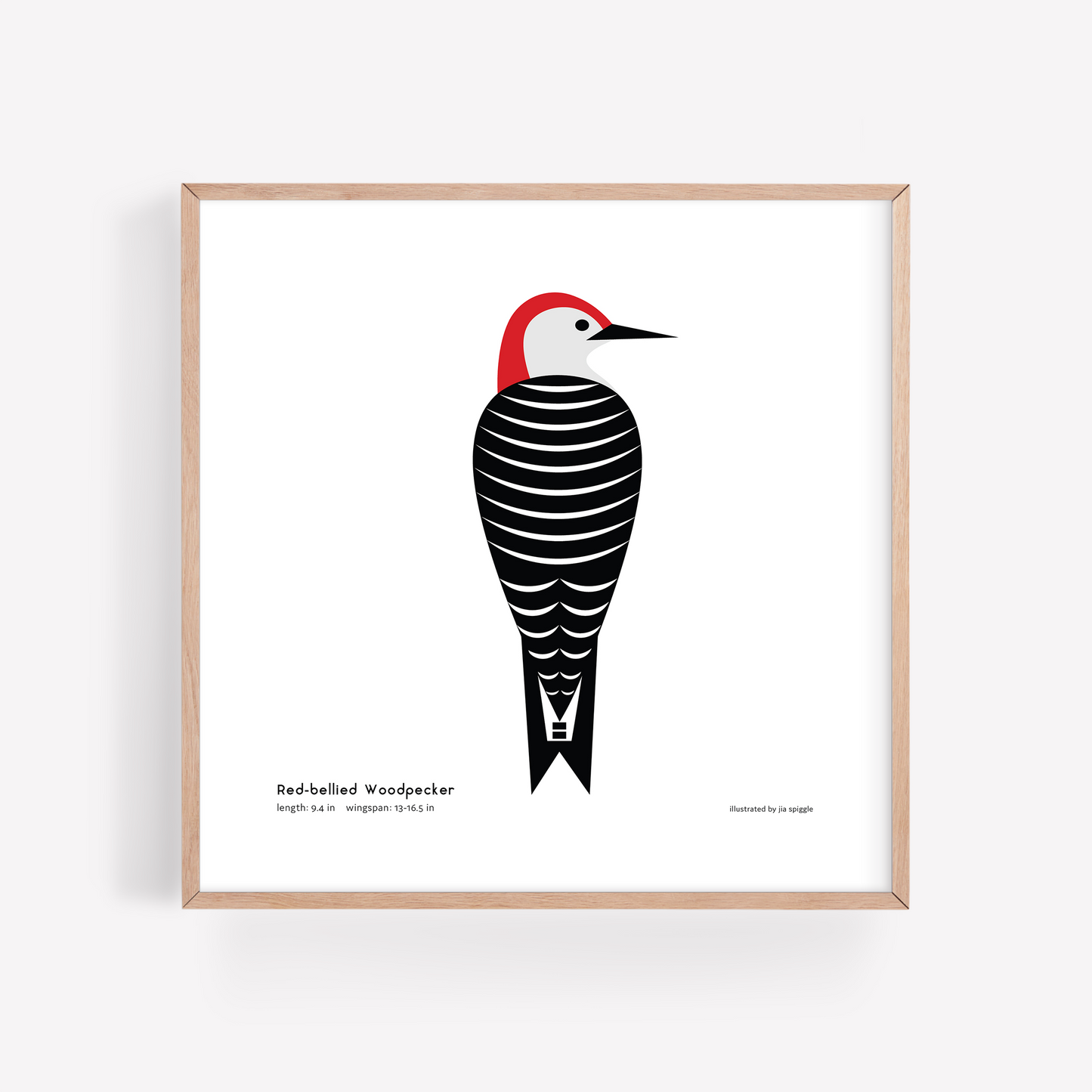 Red-bellied Woodpecker Art Print