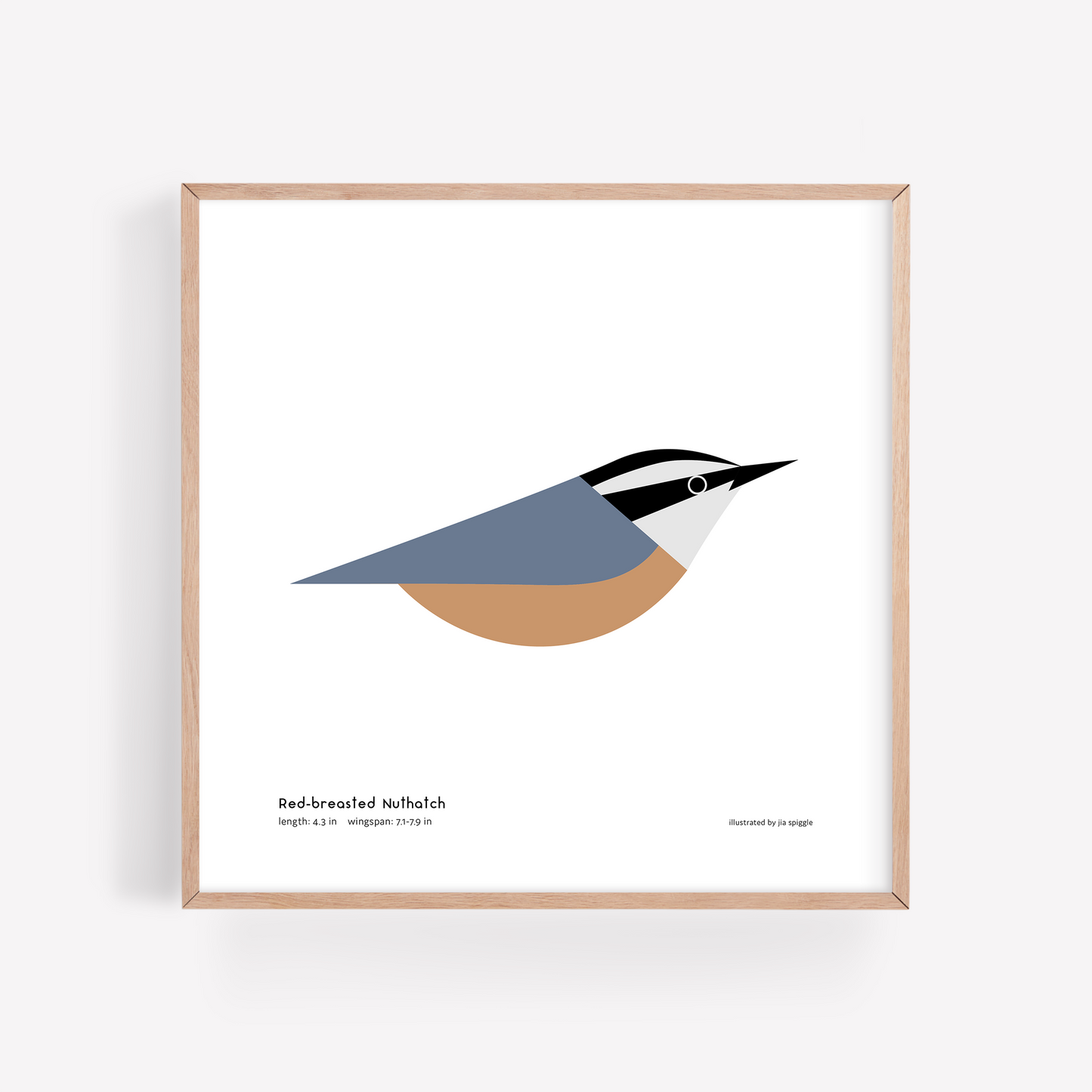 Red-breasted Nuthatch Art Print