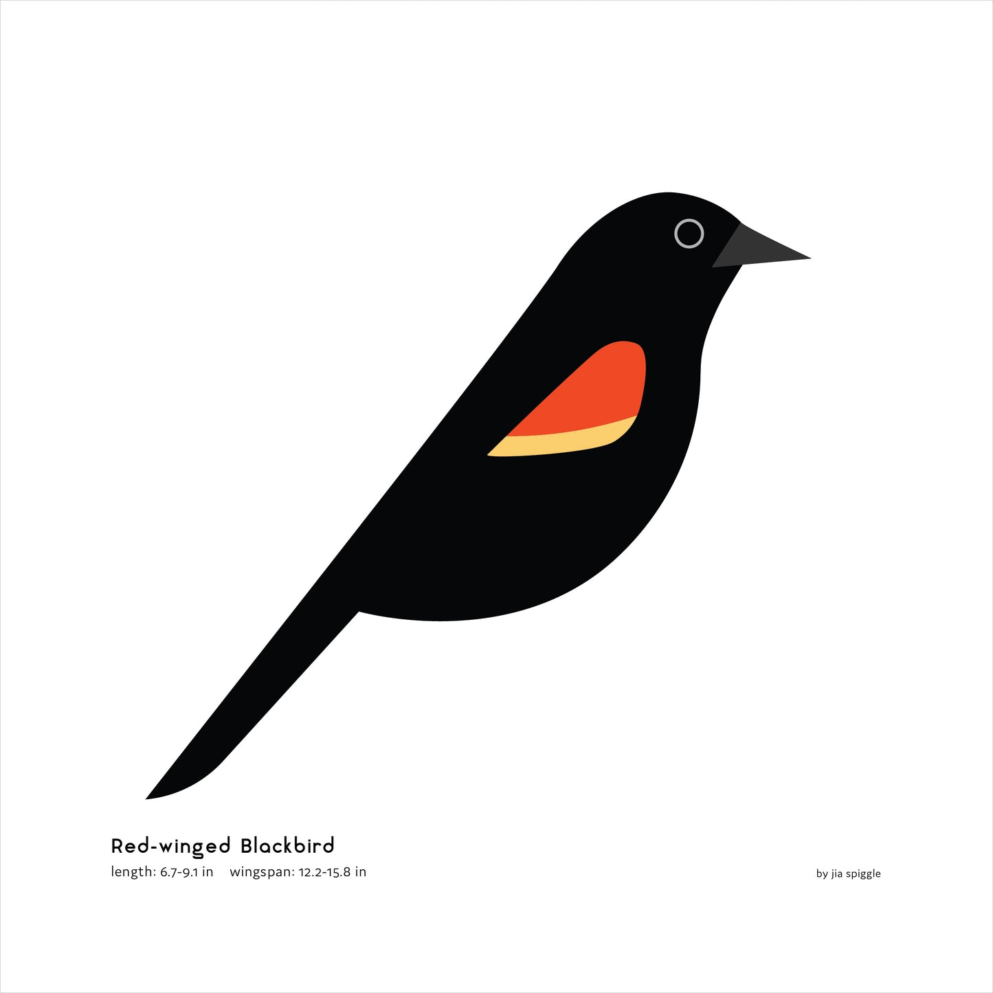 Red-winged Blackbird Art Print
