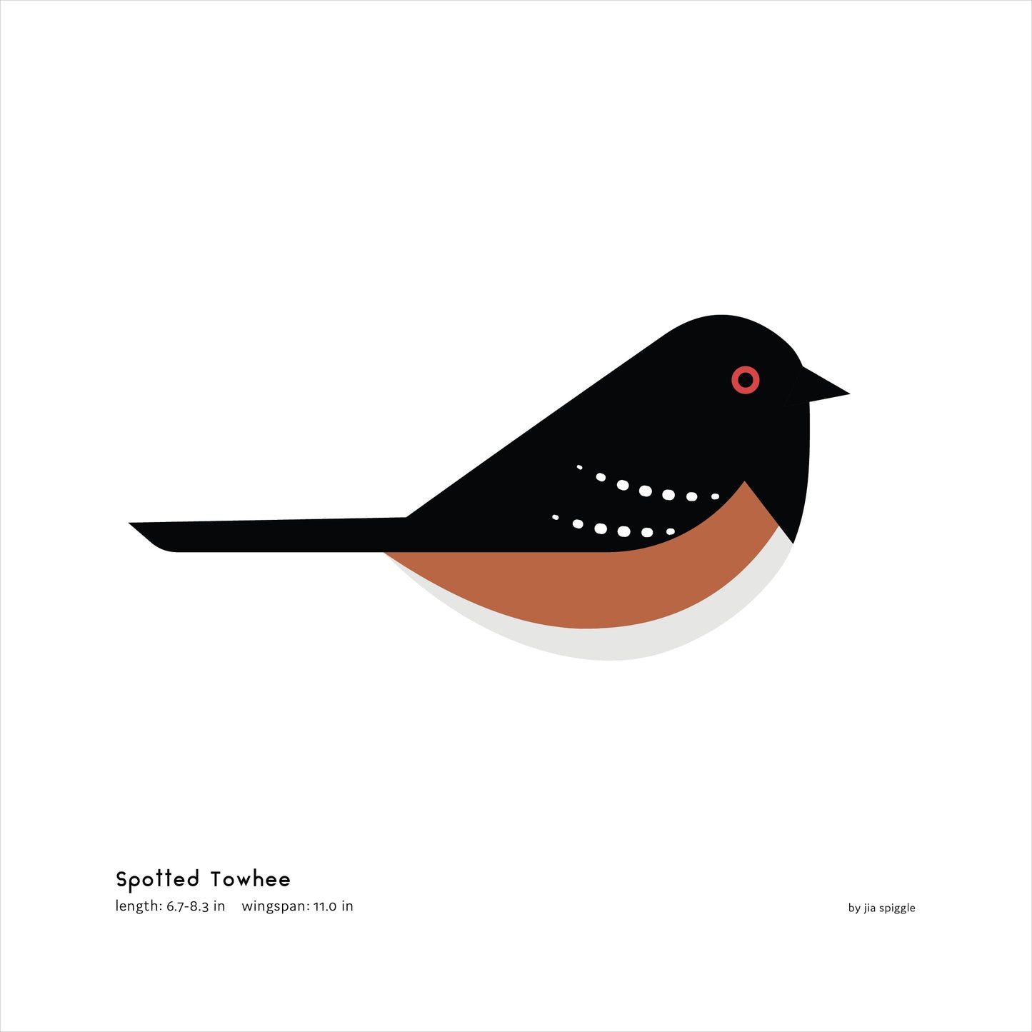 Spotted Towhee Art Print