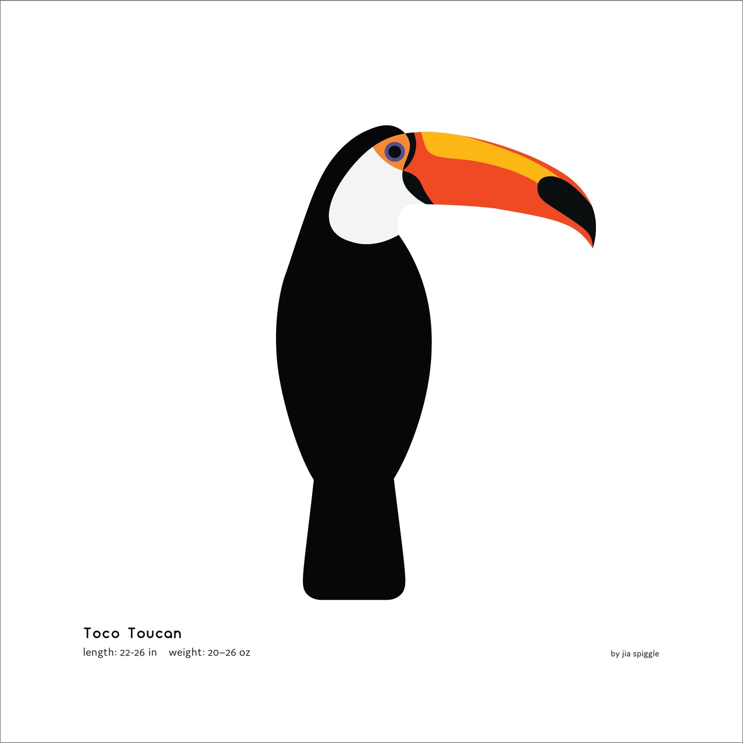 Toco Toucan Art Print