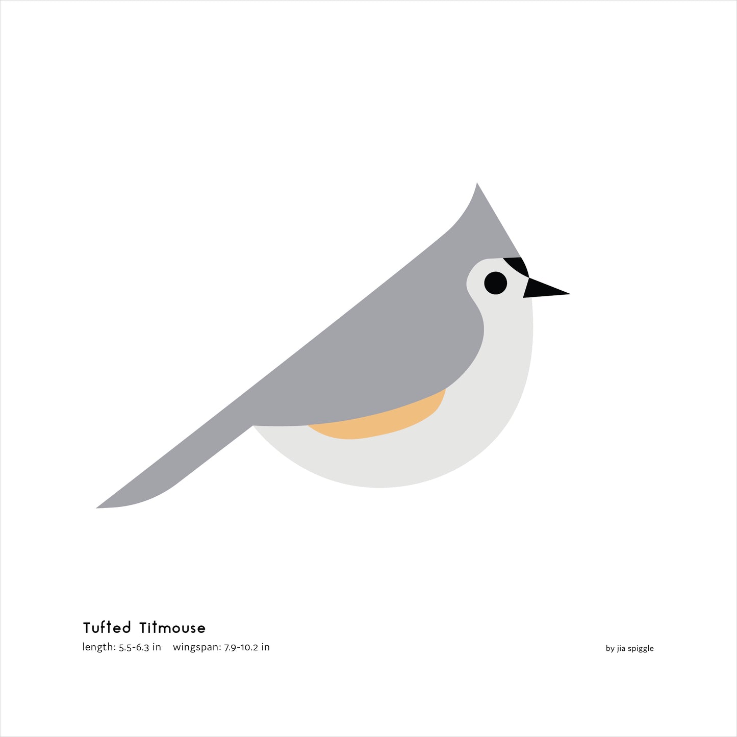 Tufted Titmouse Art Print