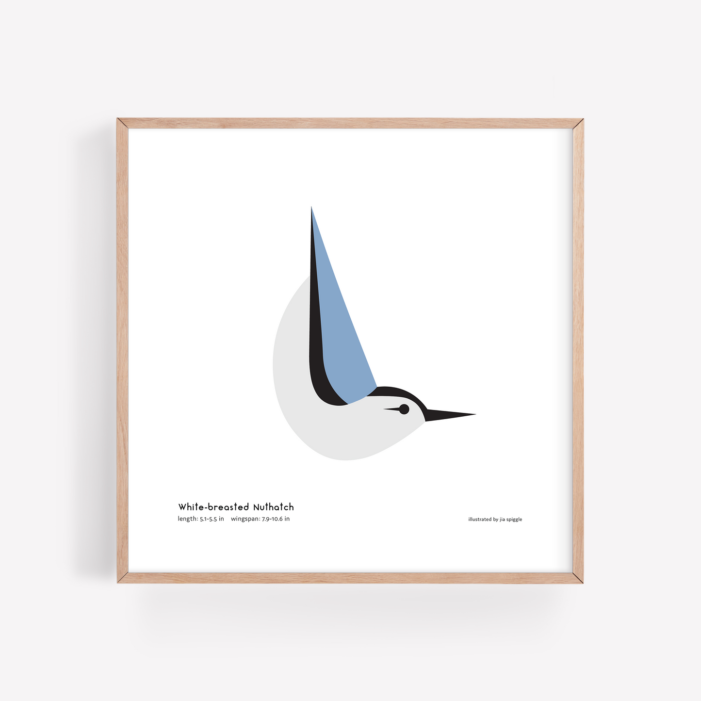White-breasted Nuthatch Art Print