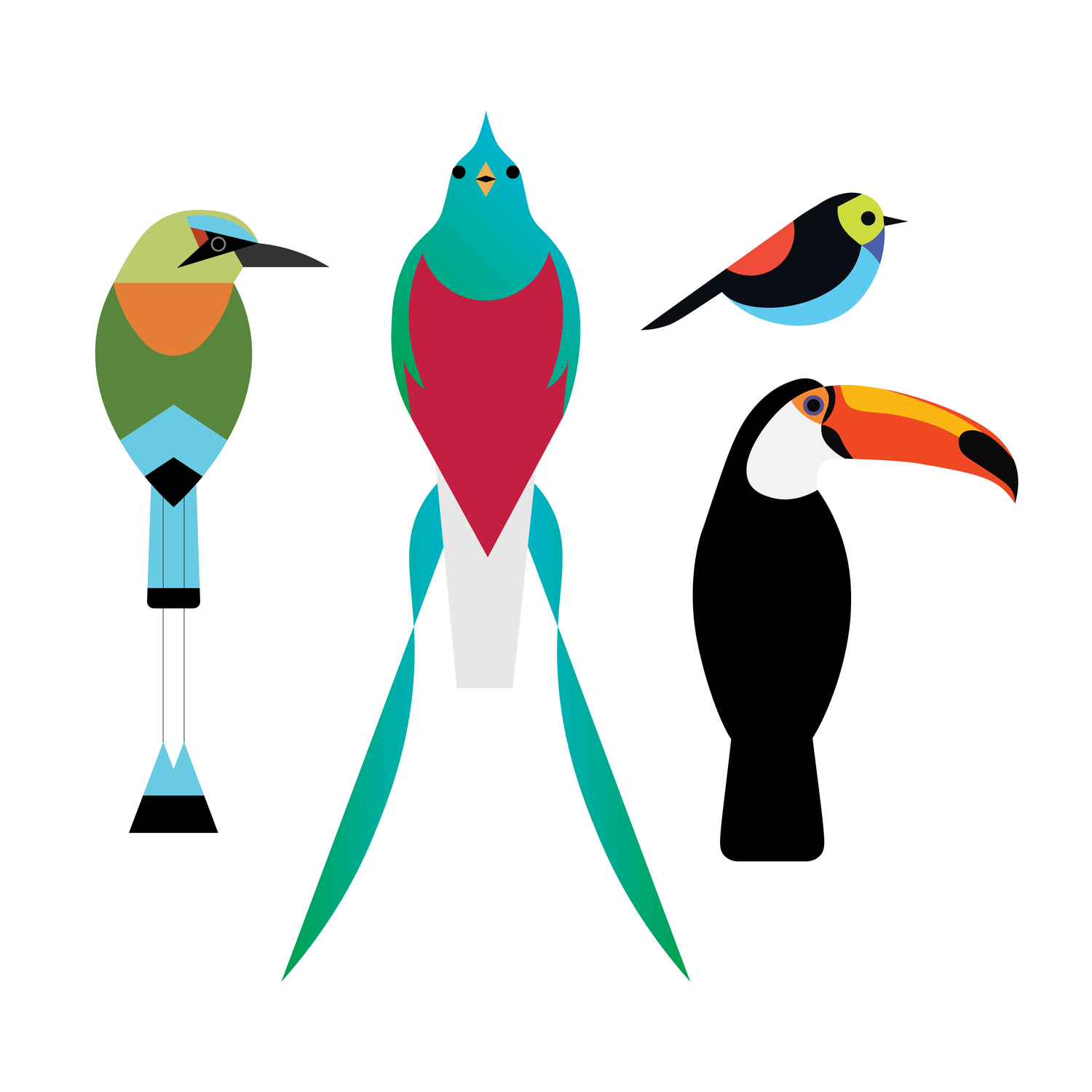 Tropical Birds