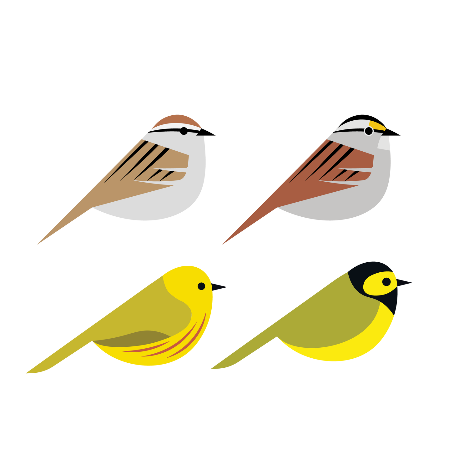 Warblers & Sparrows