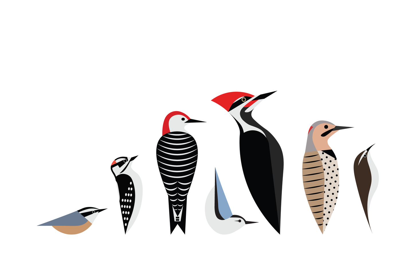 Tree Clinging Birds Giclée Print