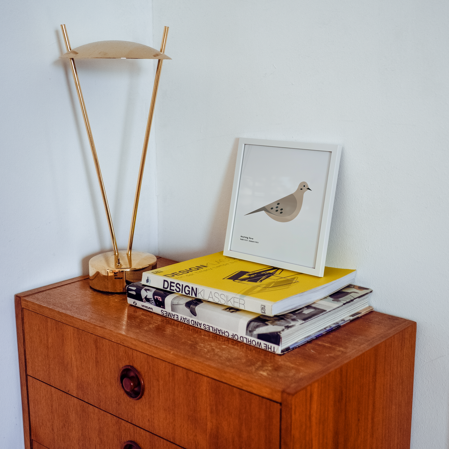 Mourning Dove Art Print