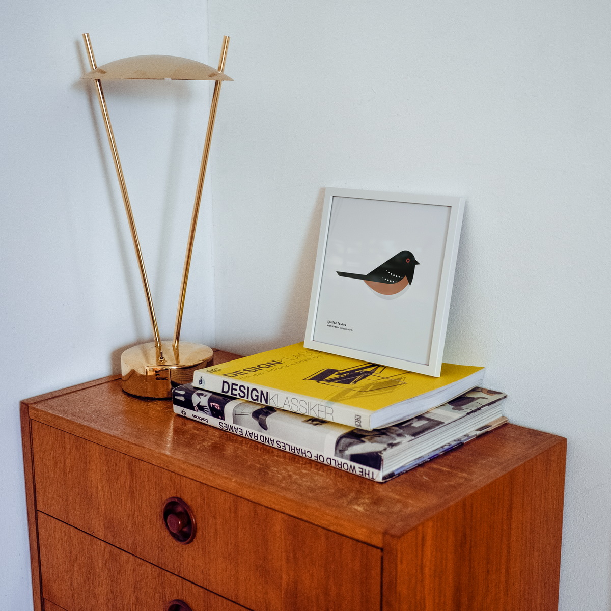 Spotted Towhee Art Print
