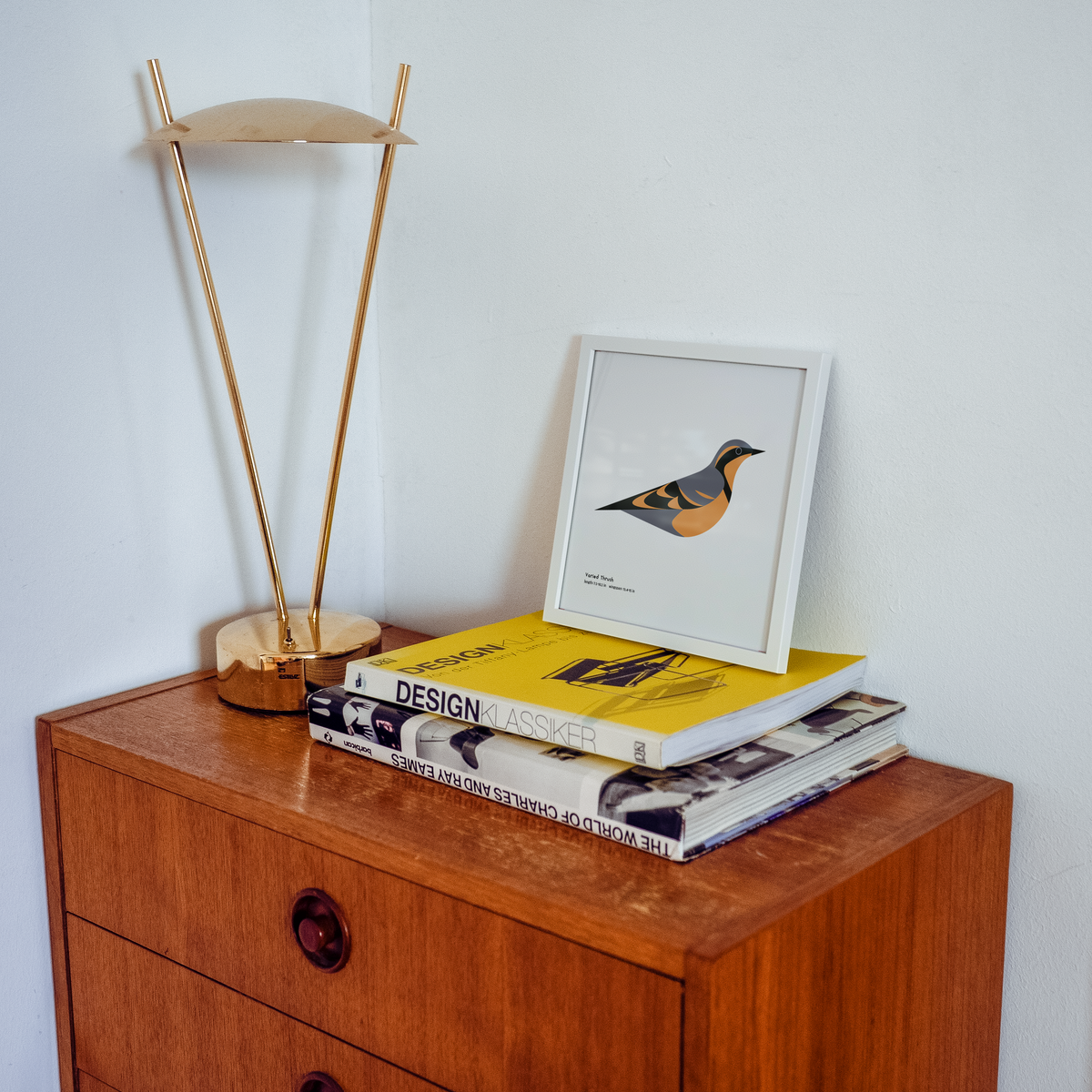 Varied Thrush Art Print