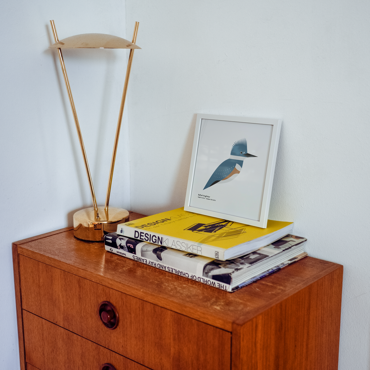 Belted Kingfisher Art Print