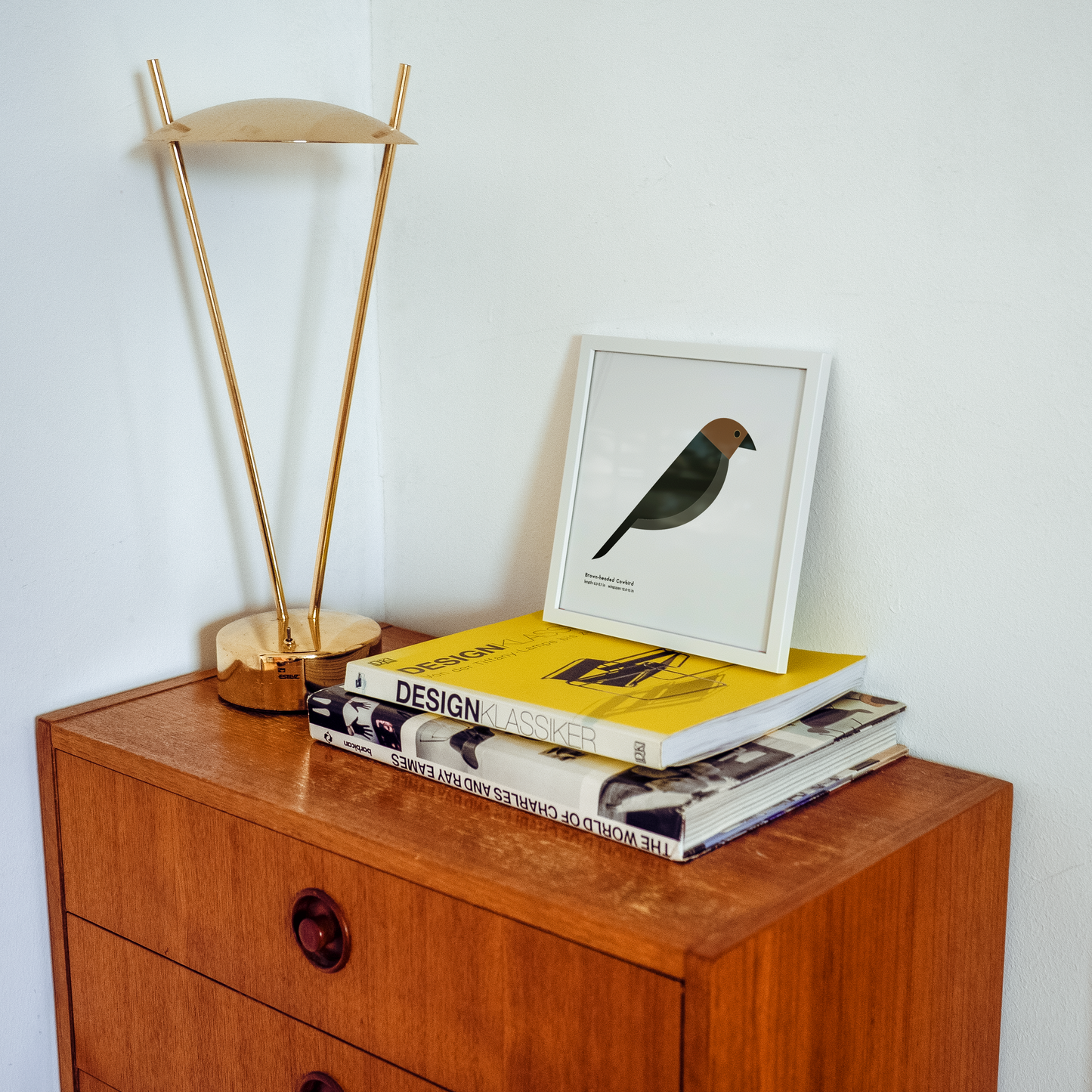 Brown-headed Cowbird Art Print