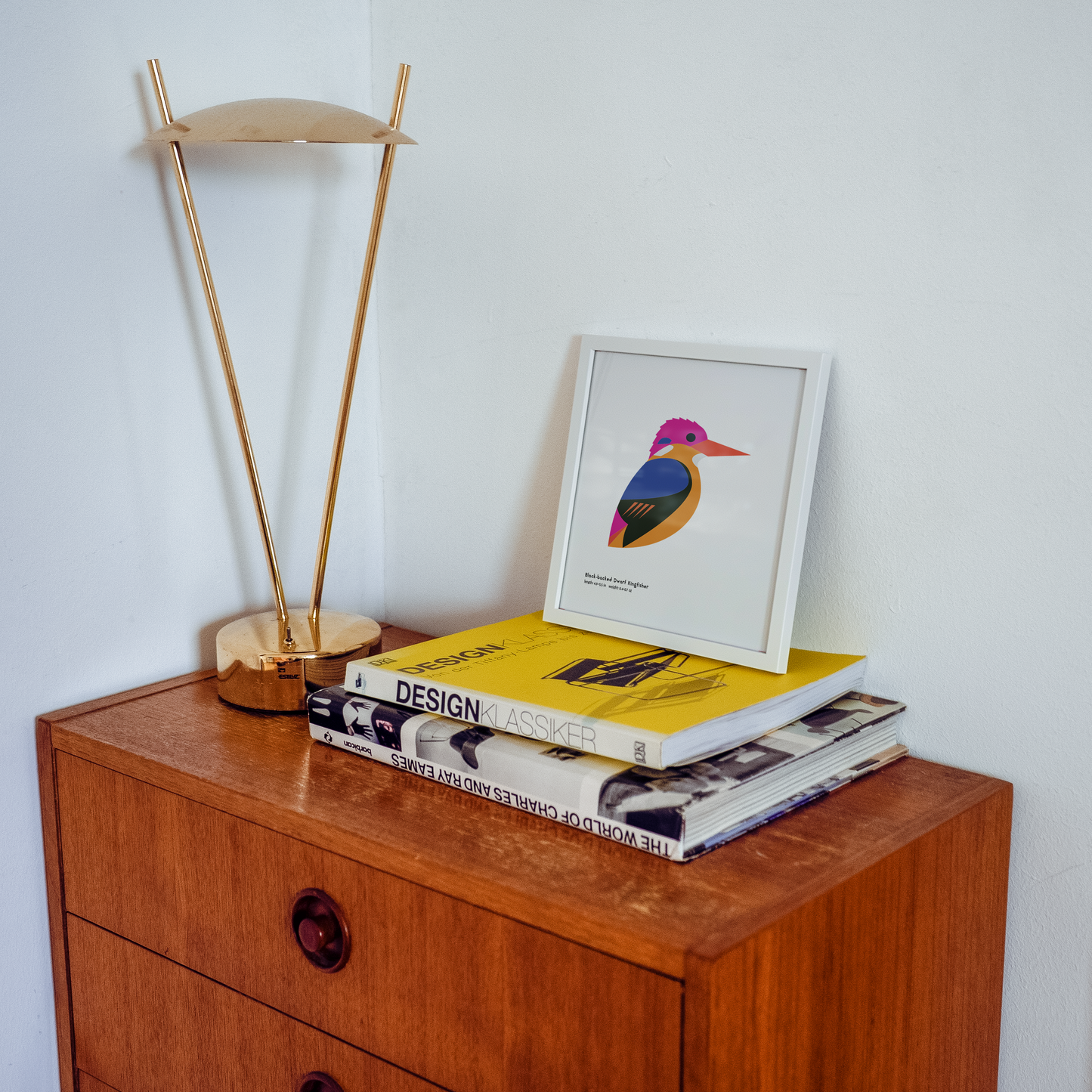 Black-backed Dwarf Kingfisher Art Print