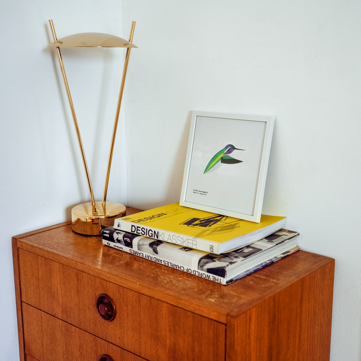 Costa's Hummingbird Art Print