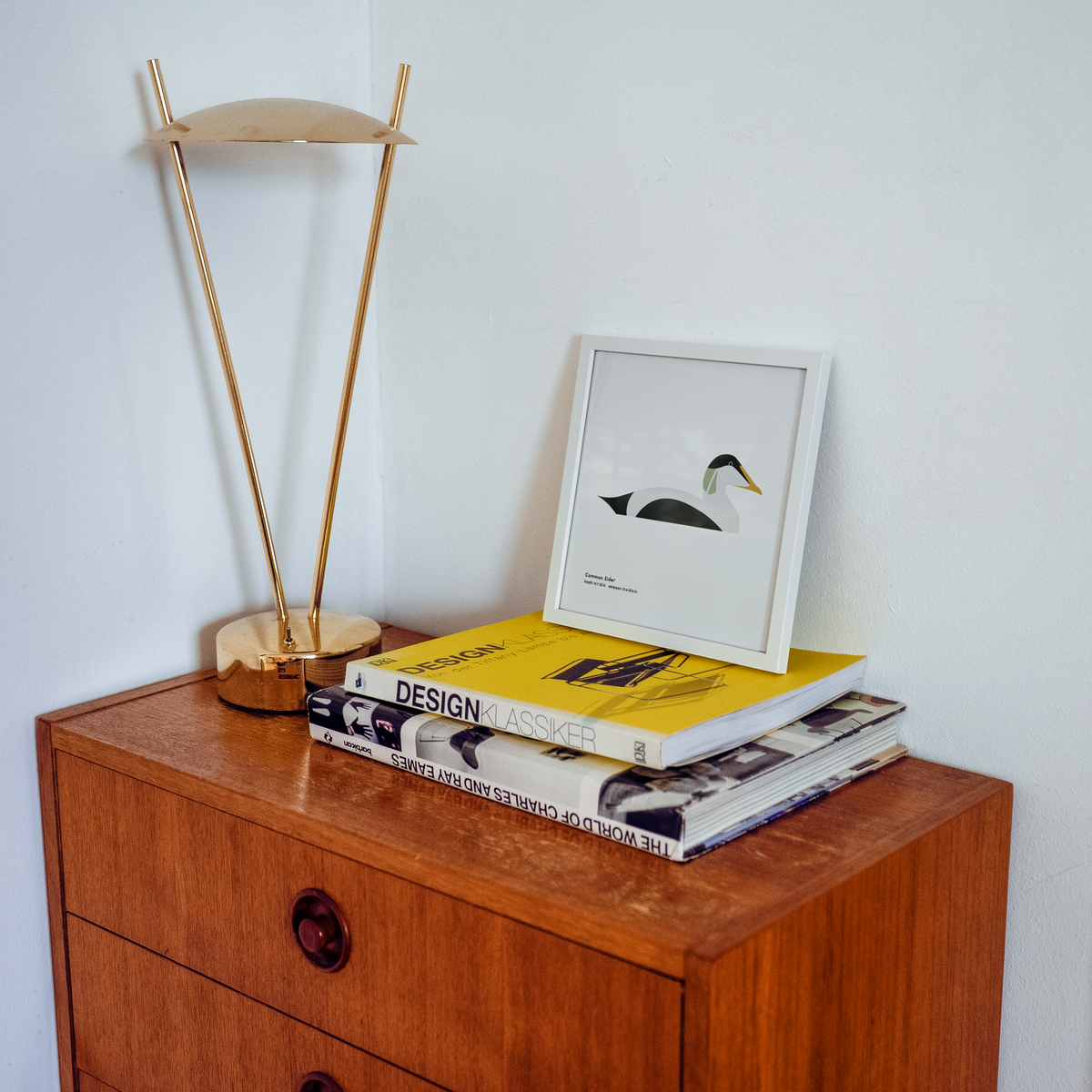 Common Eider Art Print