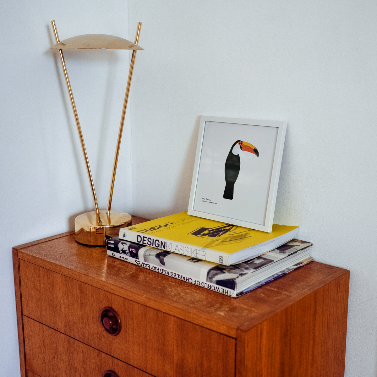 Toco Toucan Art Print