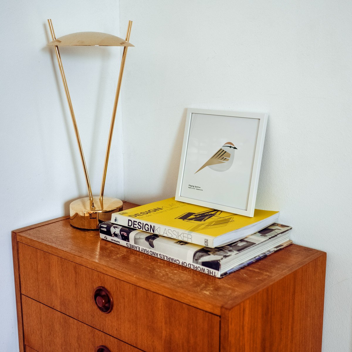 Chipping Sparrow Art Print