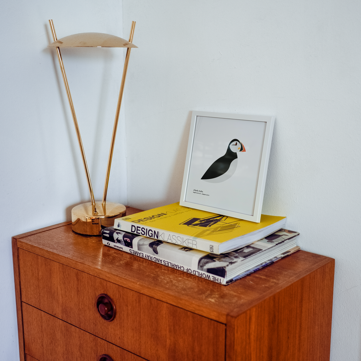 Atlantic Puffin Art Print