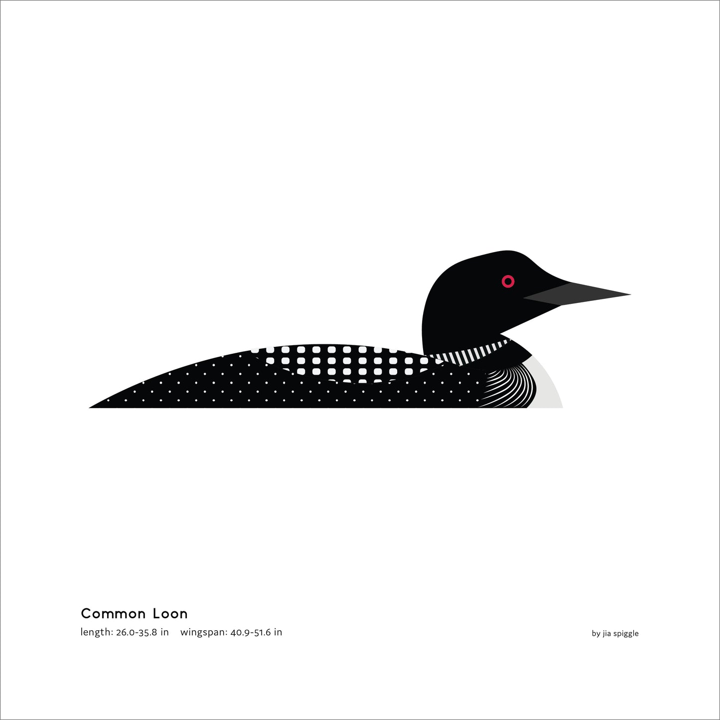 Common Loon Art Print