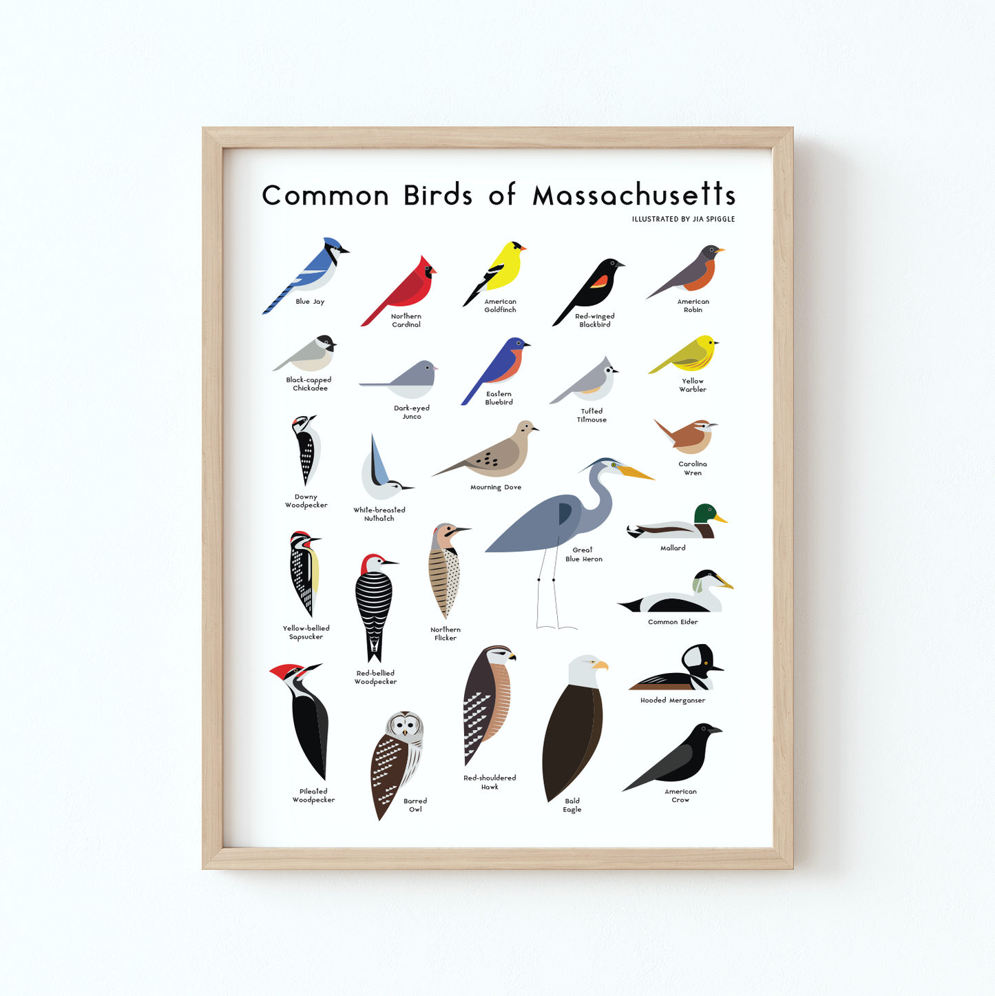 Common Birds of Massachusetts Giclée Print